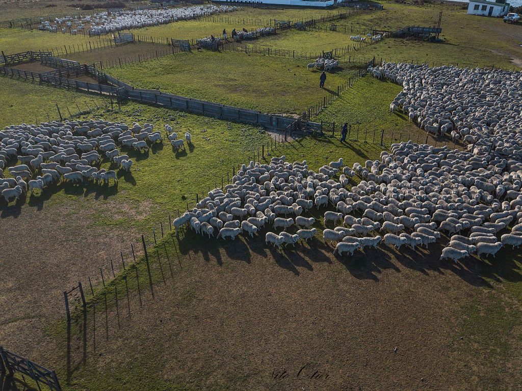 Esquila Estancia La Adela. Foto Eduardo Otier.