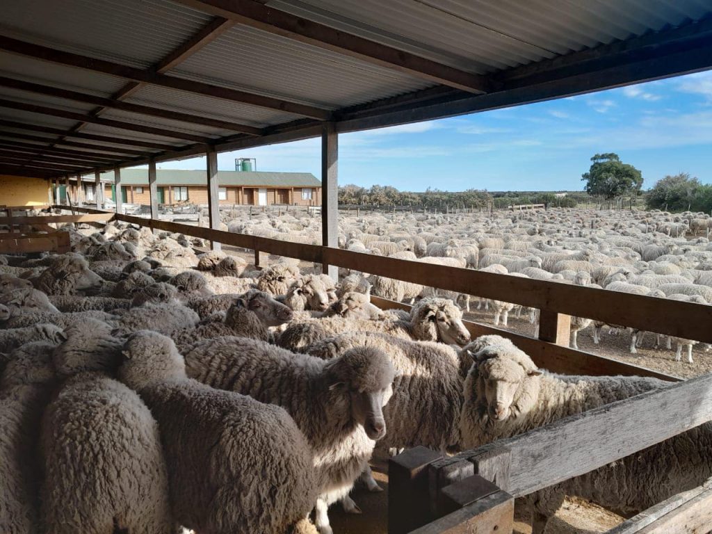 Estancia San Lorenzo. Foto Nora Arce. Face El Piramides Olvidado