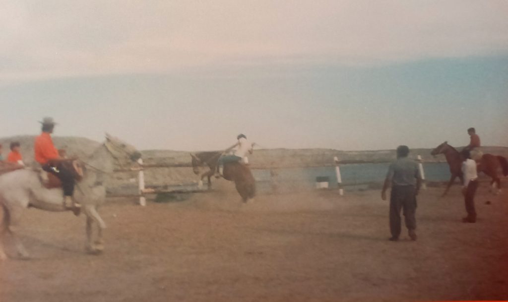 Jineteada Puerto Piramides. Foto de Norma Idiarte