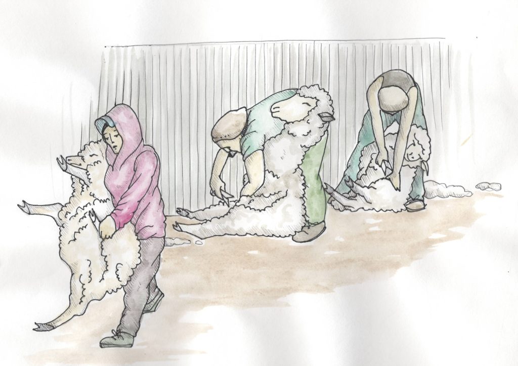 LA-ESQUILA-.-ILUSTRACION-SILVANA-CALLEGARI