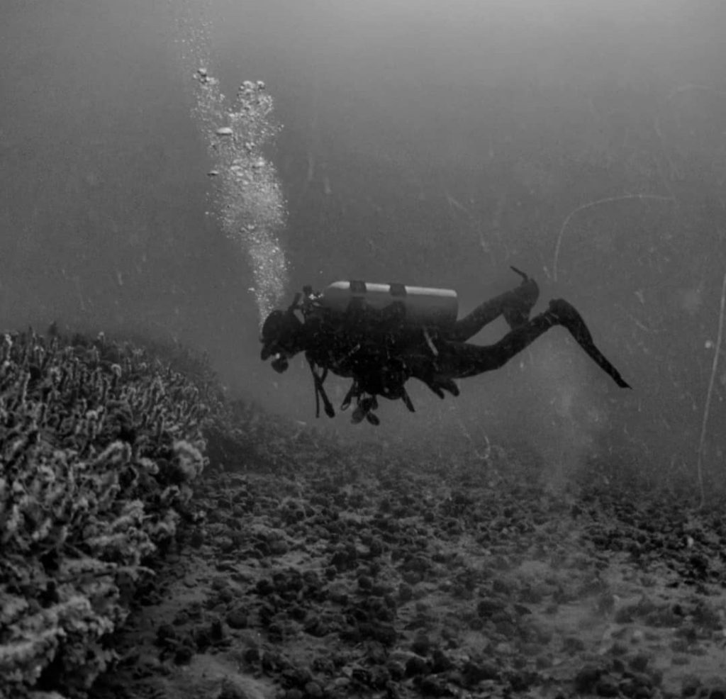 Buza Marisquera. Foto Claudio Nicollini