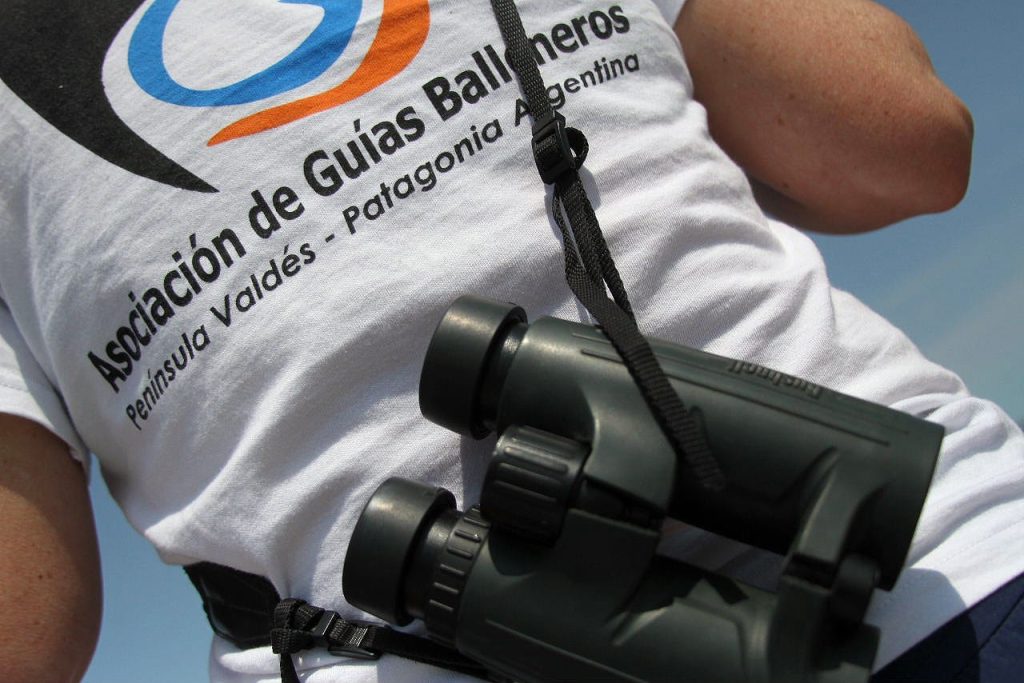 Herramientas. Guía Ballenera. Foto Jorge Barone