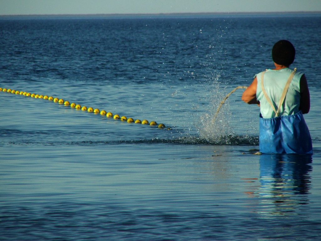 Rederas del Golfo San José. Foto Jorge Barone